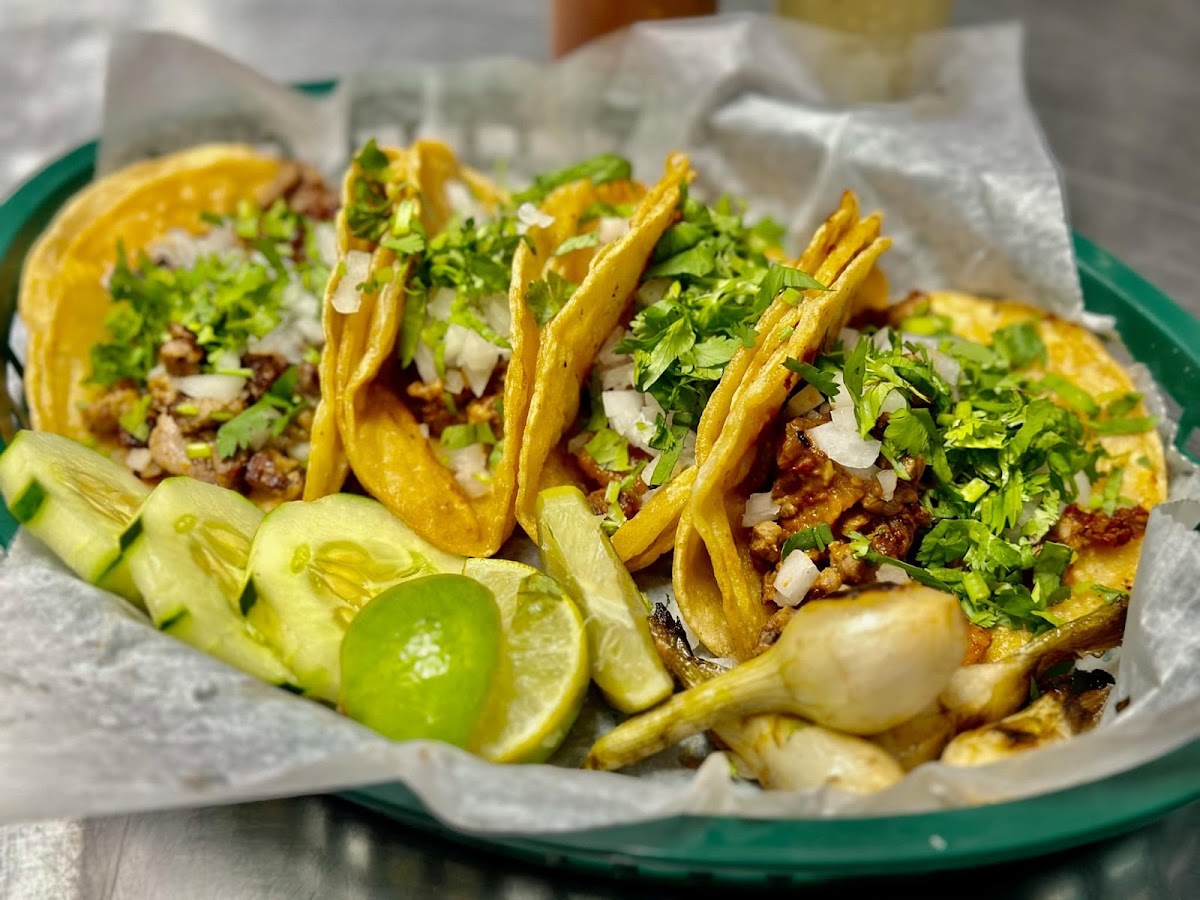 Chicago Fish, Chicken & Gyros Taqueria-2